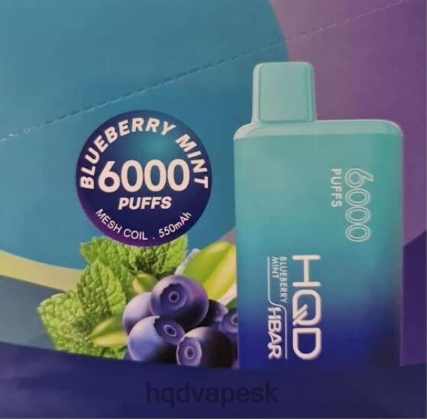 čučoriedková mäta